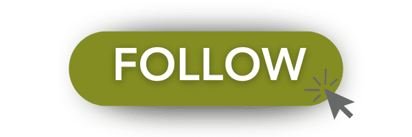Follow Button