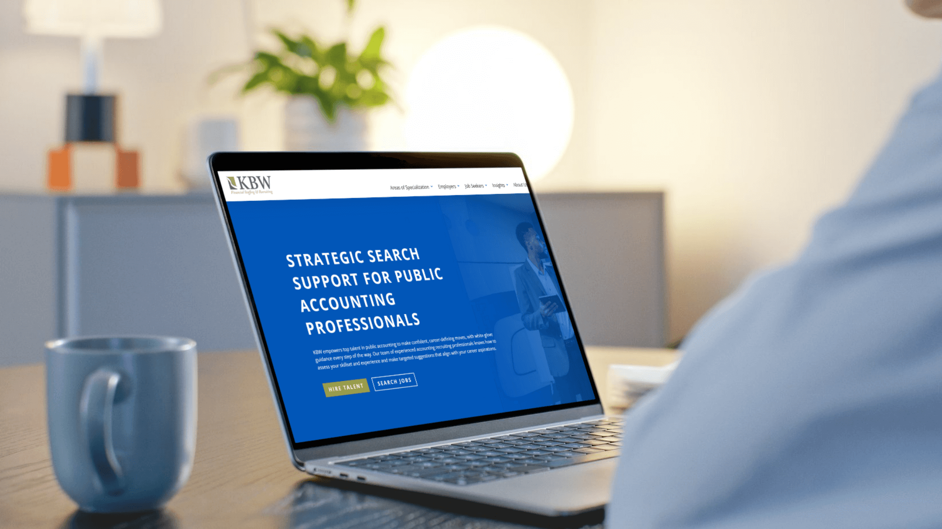 Public Accounting Professionals